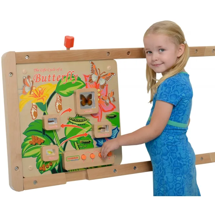 Zabawna edukacja o naturze z tablicą cyklu życia motyla
