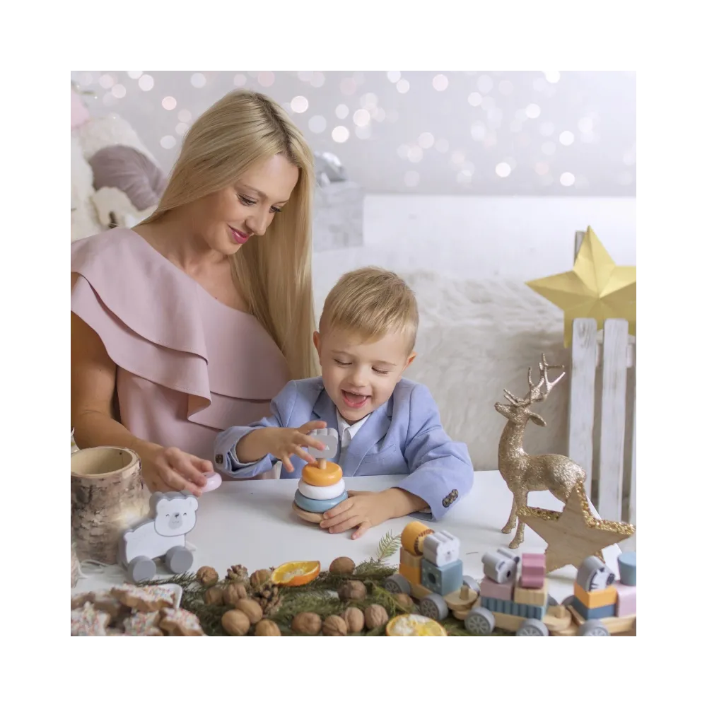 VIGA PolarB Drewniana Piramidka edukacyjna - Miś Polarny