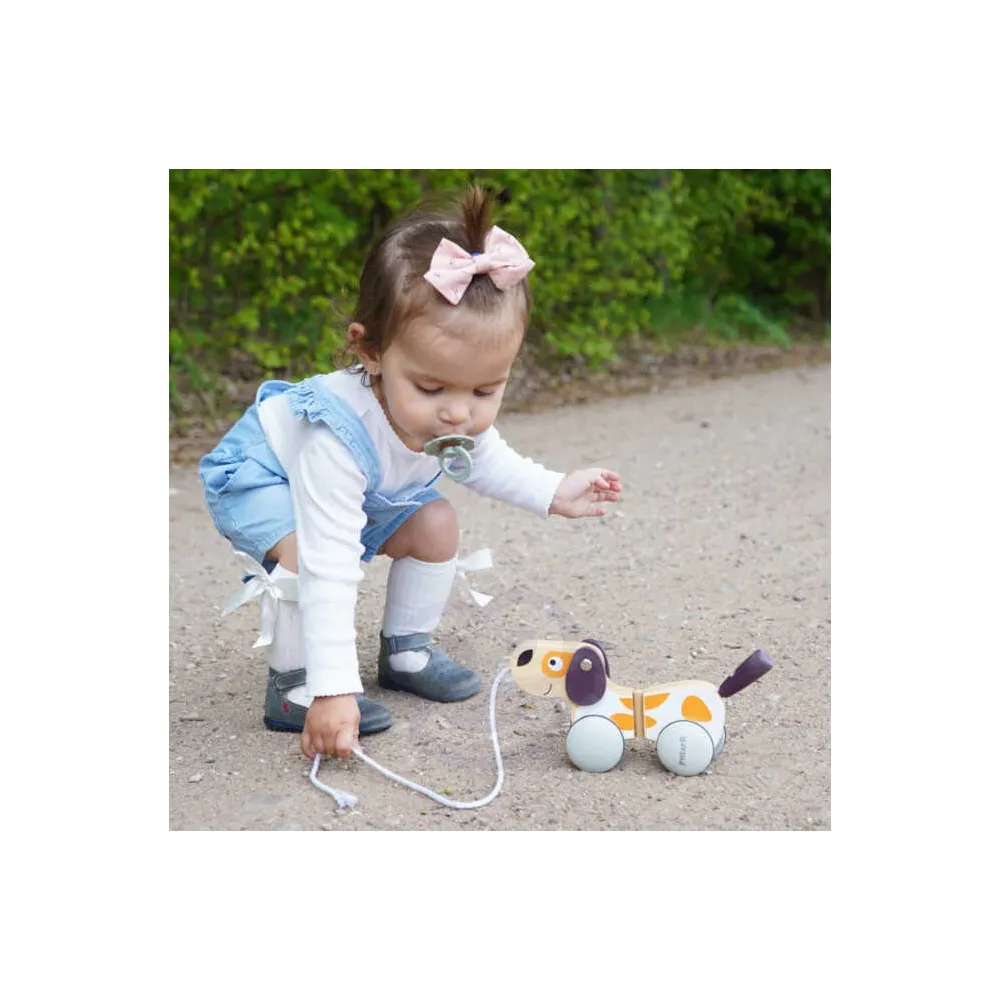 Kolorowy piesek do ciągnięcia na spacer dla malucha