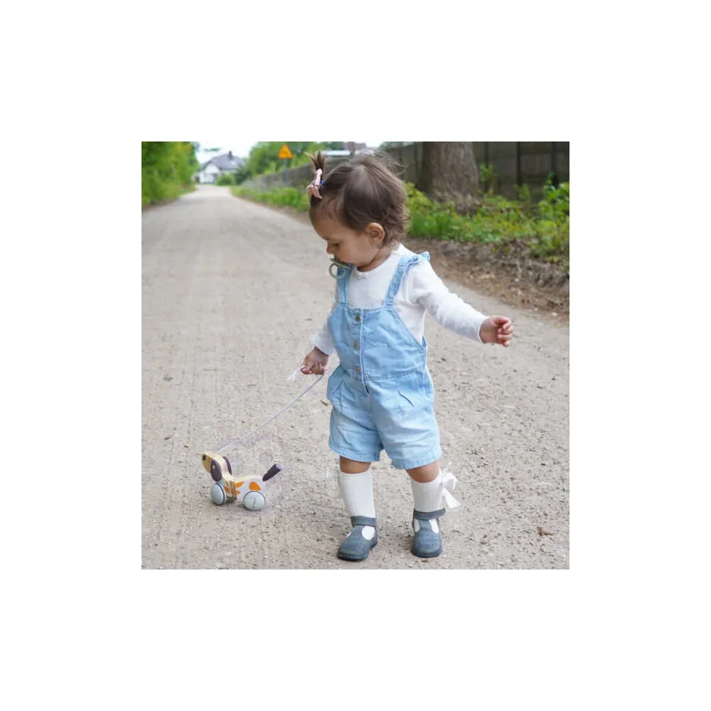 Zabawka drewniana piesek na kółkach z gumowymi nakładkami