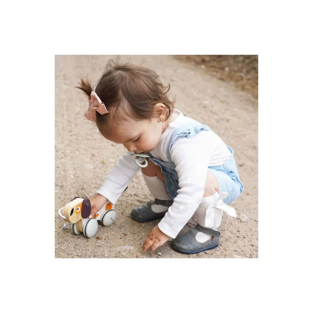 PolarB piesek zachęcający do nauki chodzenia i zabawy