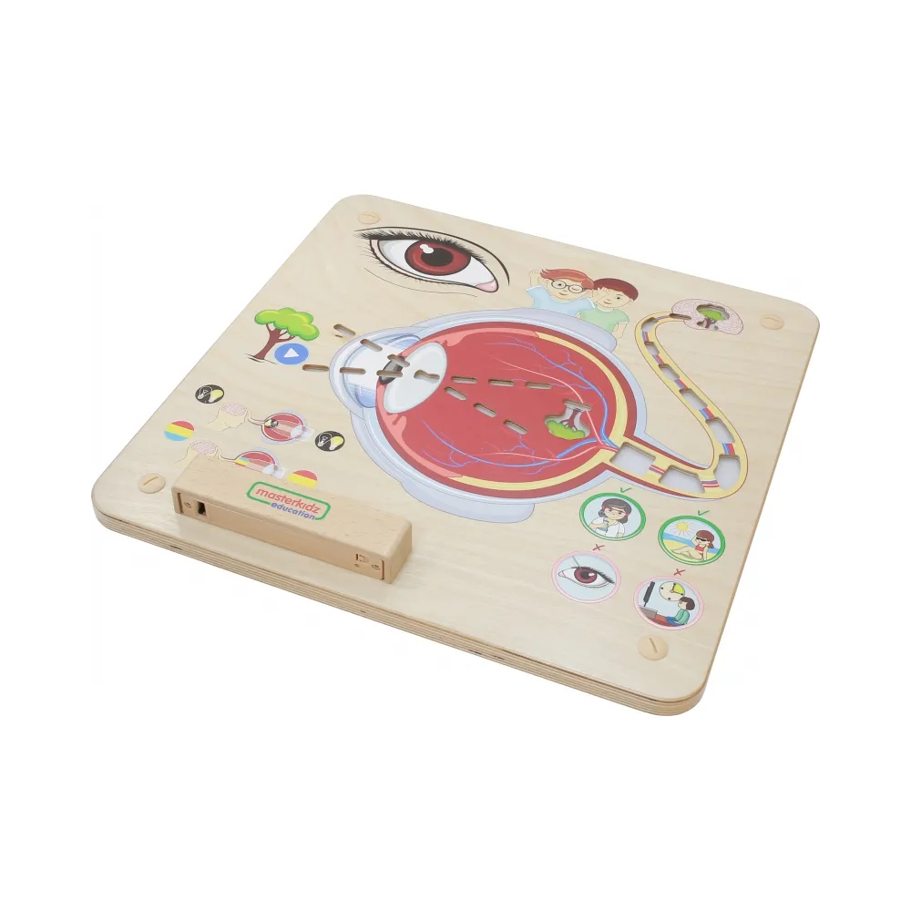 MASTERKIDZ Tablica Edukacyjna Zmysł Wzroku Montessori