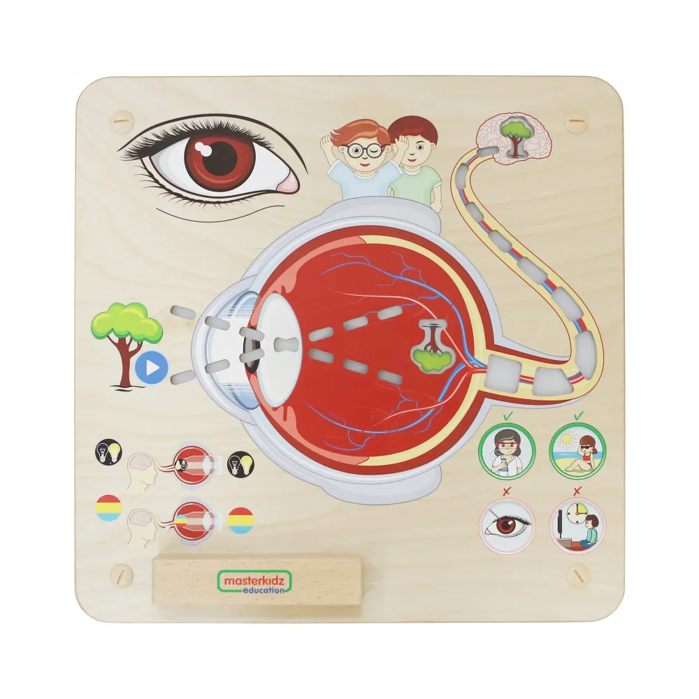 MASTERKIDZ Tablica Edukacyjna Zmysł Wzroku Montessori
