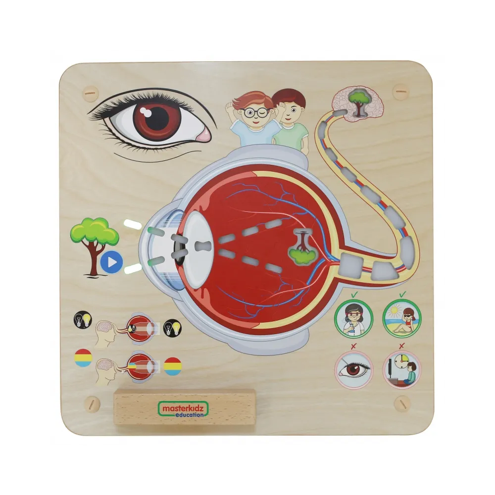 MASTERKIDZ Tablica Edukacyjna Zmysł Wzroku Montessori