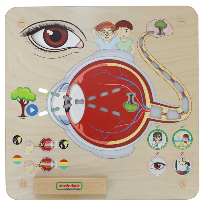 Zabawka rozwijająca motorykę i sensorykę dzieci