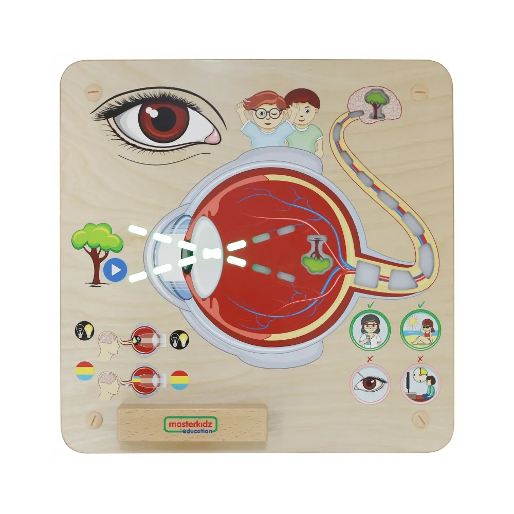 MASTERKIDZ Tablica Edukacyjna Zmysł Wzroku Montessori