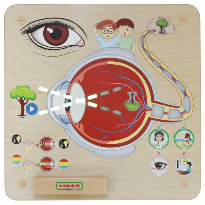 Tablica edukacyjna z funkcją świetlną dla dzieci