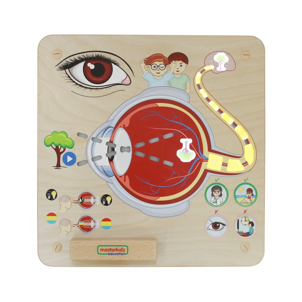MASTERKIDZ Tablica Edukacyjna Zmysł Wzroku Montessori