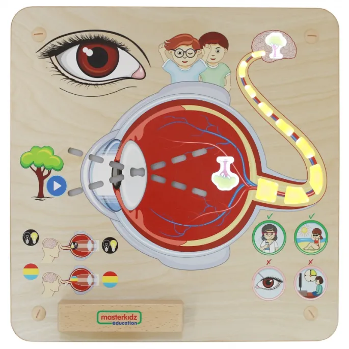 Wielofunkcyjna tablica do nauki kolorów i kształtów