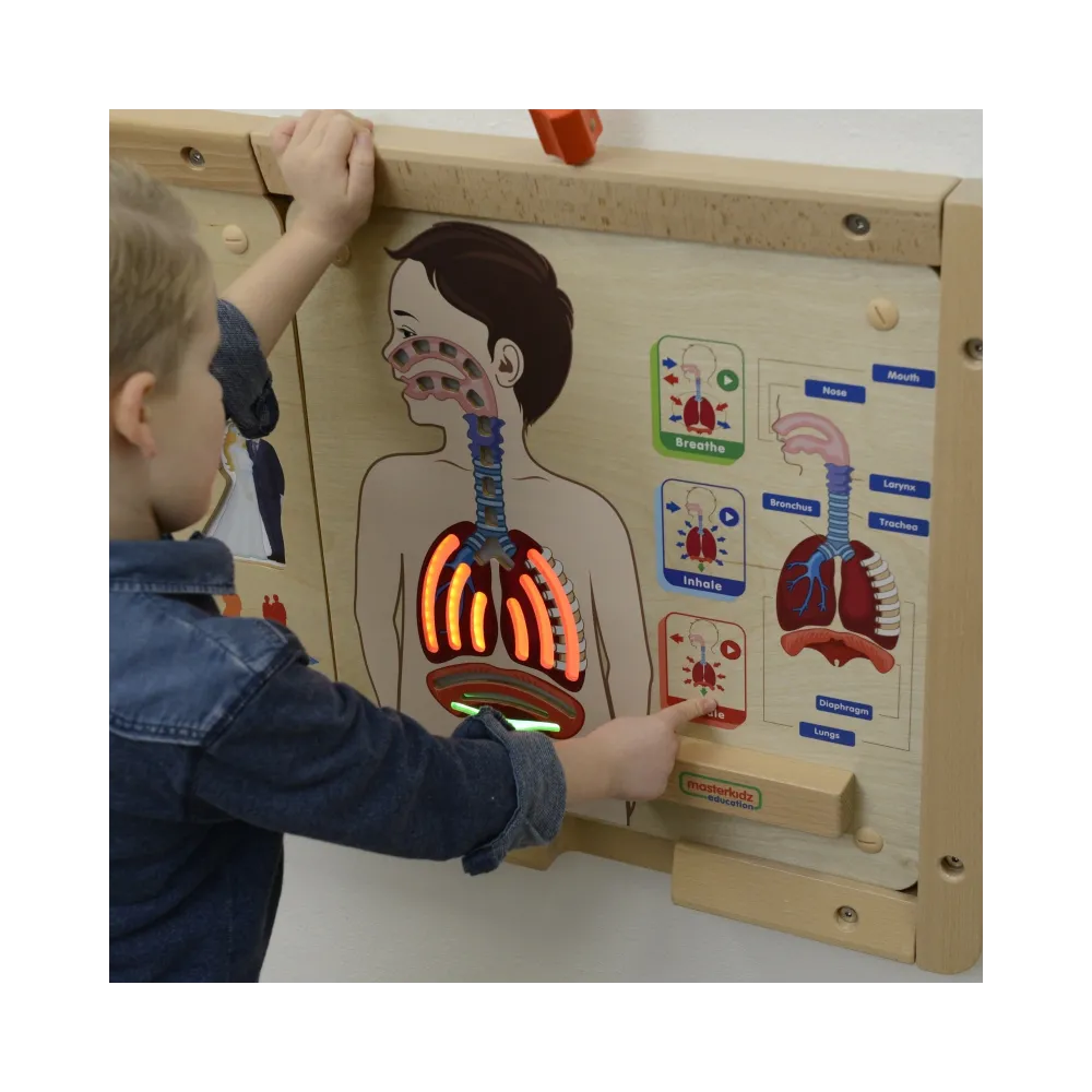 MASTERKIDZ Tablica Edukacyjna Układ Oddechowy Montessori