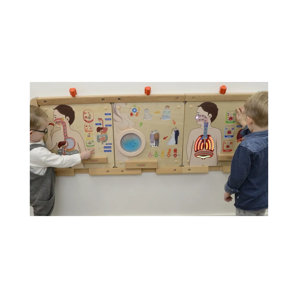 MASTERKIDZ Tablica Edukacyjna Układ Oddechowy Montessori