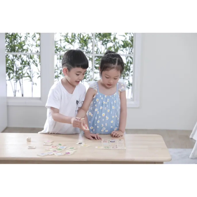 VIGA gra edukacyjna z kolorowymi obrazkami