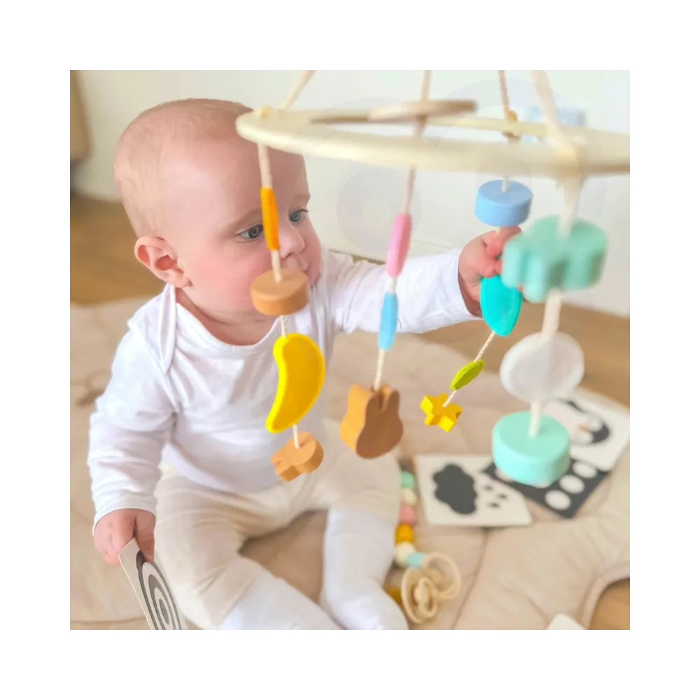 CLASSIC WORLD Pastelowy Zestaw dla Niemowląt Box Pierwsze Zabawki od 0 - 6 miesięcy