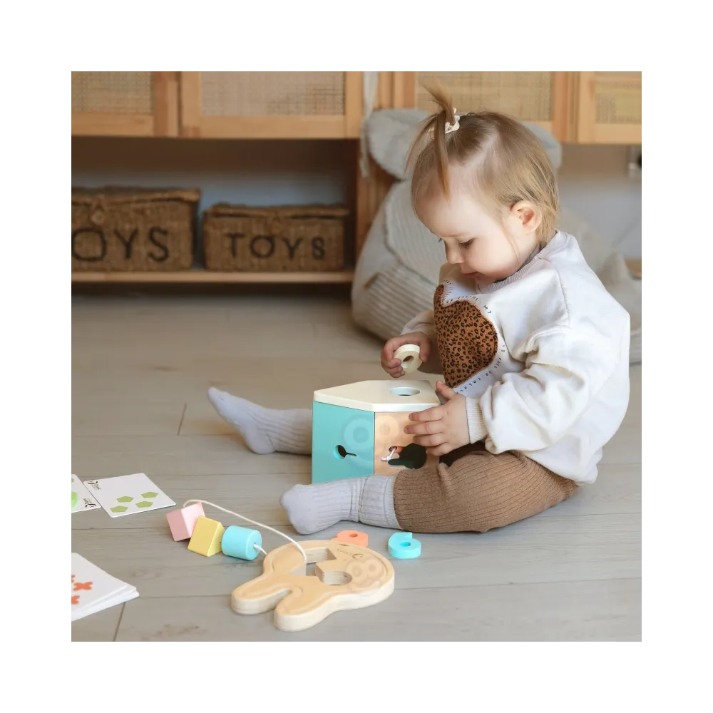 CLASSIC WORLD Pastelowy Zestaw dla Niemowląt Box Pierwsze Zabawki do Nauki od 12 do 18 miesiąca