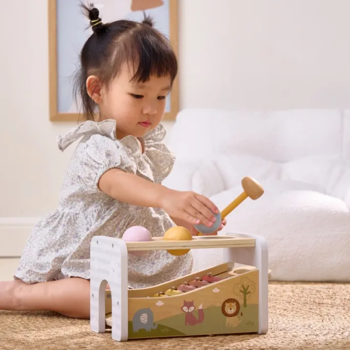 Zestaw rozwijający zdolności manualne i słuchowe