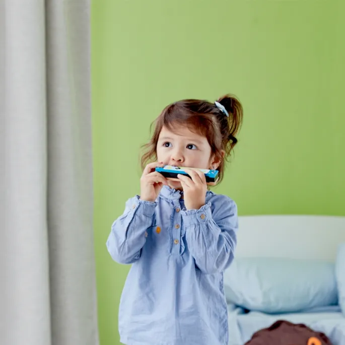 Kolorowa harmonijka Classic World