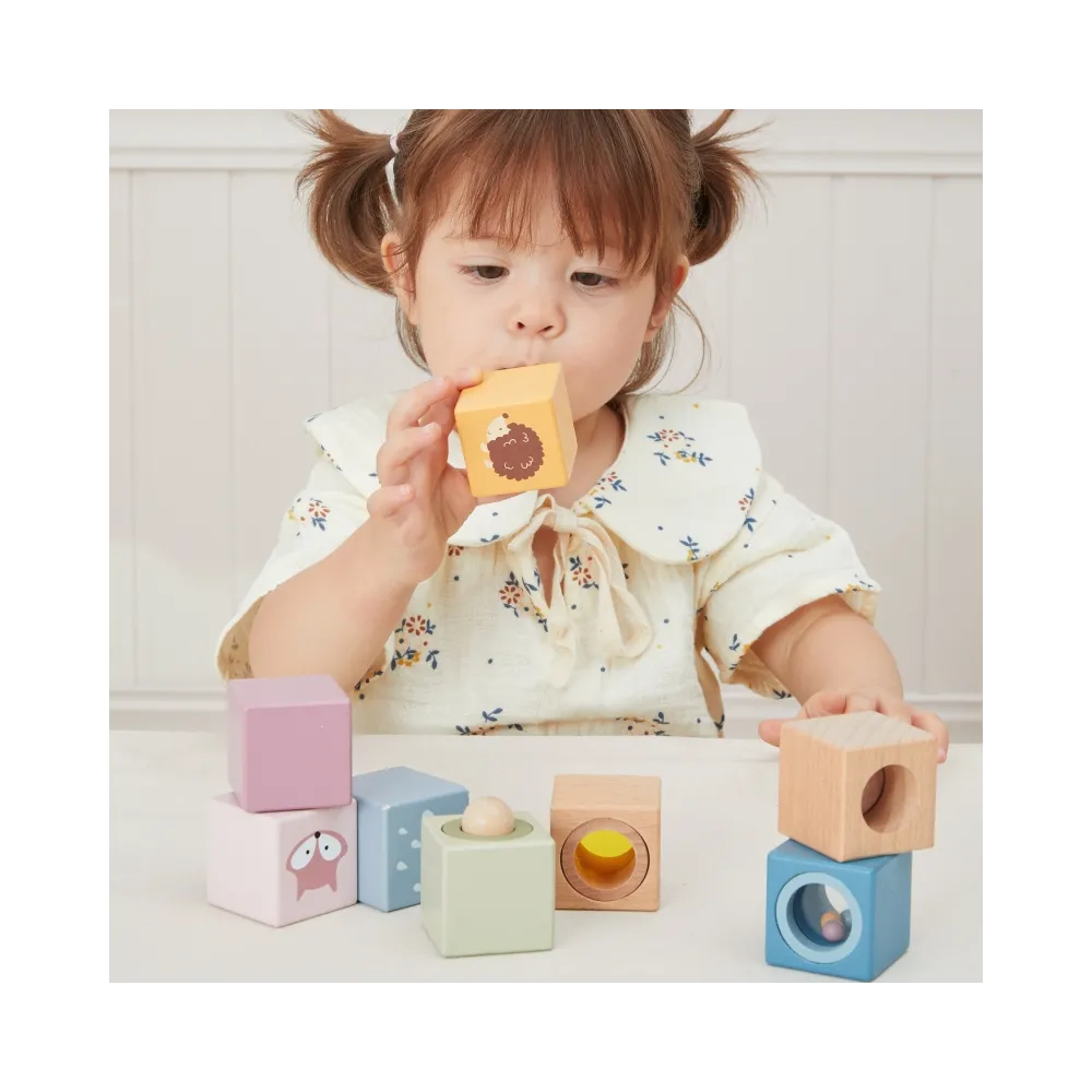 VIGA Drewniane Klocki Sensoryczne PolarB