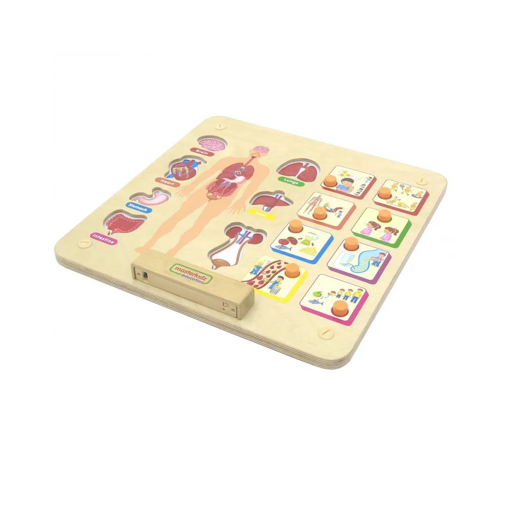 MASTERKIDZ Tablica Edukacyjna Układ Ciała Ludzkiego Montessori