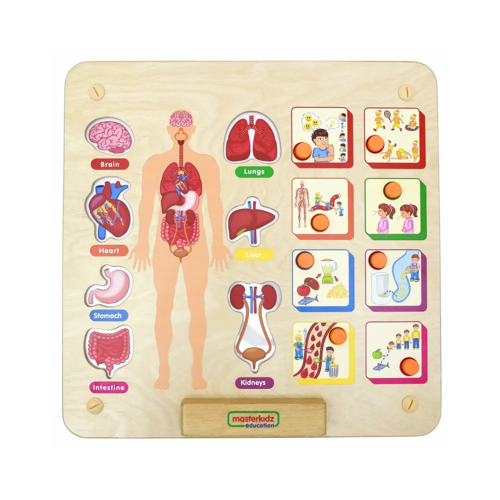 MASTERKIDZ Tablica Edukacyjna Układ Ciała Ludzkiego Montessori
