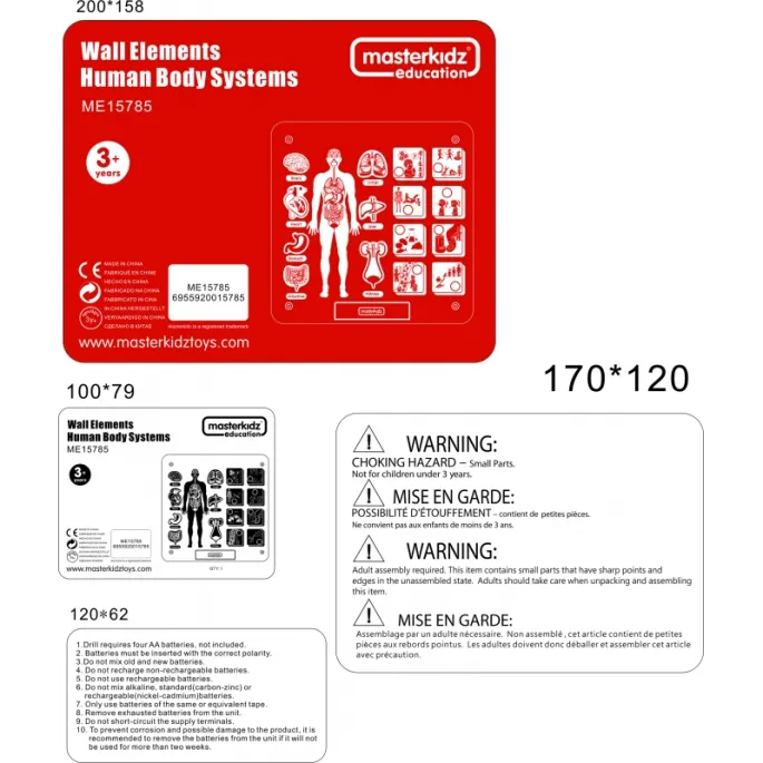 Tablica edukacyjna Masterkidz do nauki o funkcjach ludzkiego ciała.