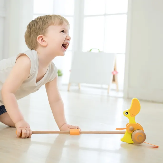 Cichy pchacz z klapaniem skrzydełek