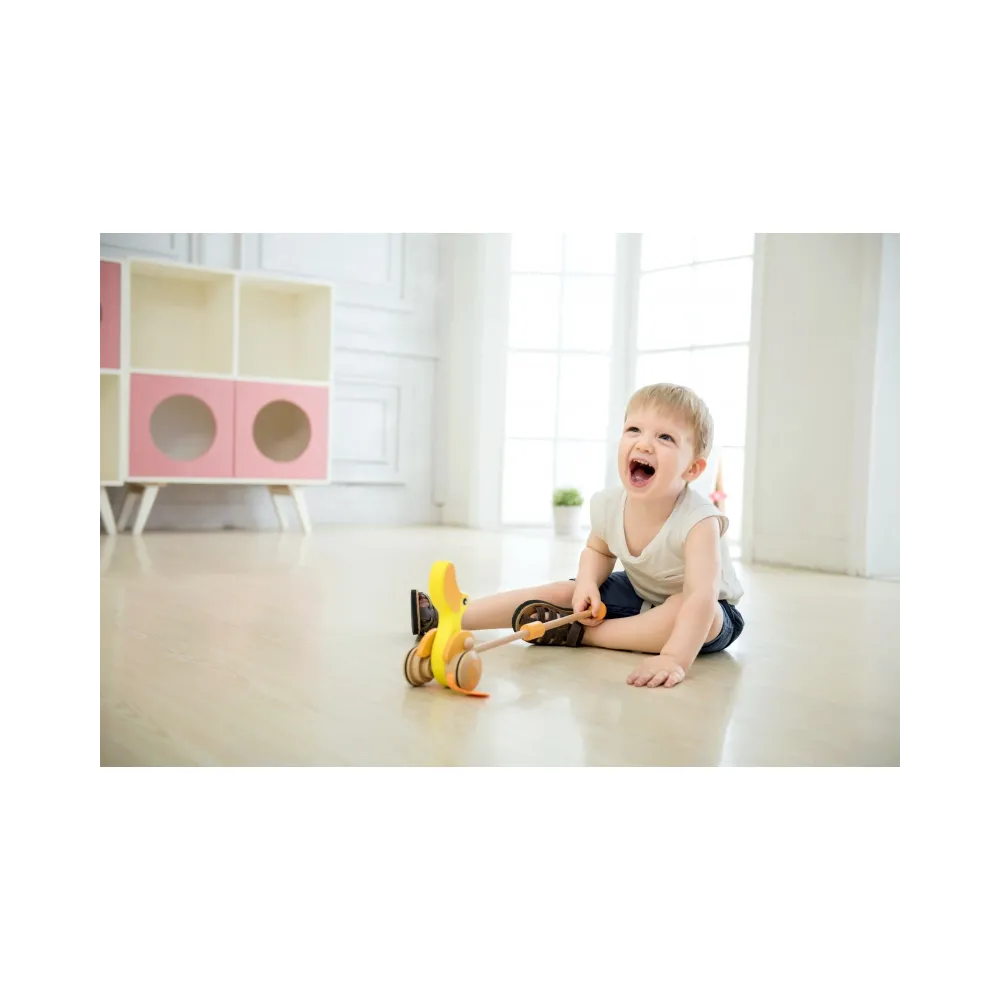 CLASSIC WORLD Pchacz Kaczuszka Drewniany Dla Dzieci