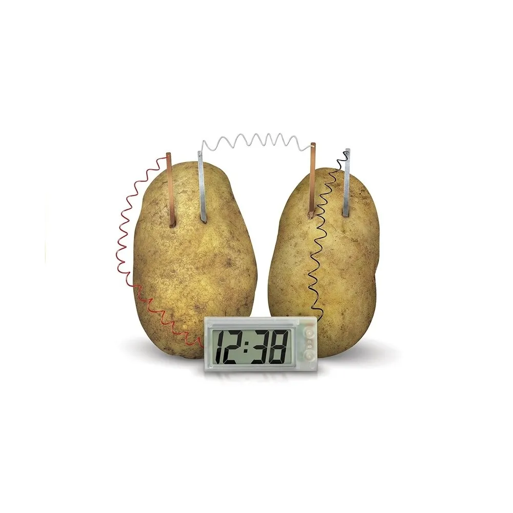 Ekologiczny zegar działający na energię z ziemniaka - zestaw eksperymentalny
