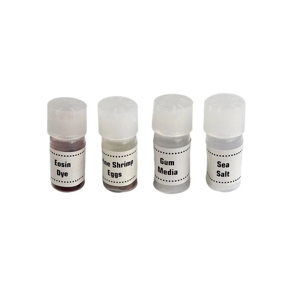 Pełen komplet do eksperymentów z mikroskopem dla dzieci do domu