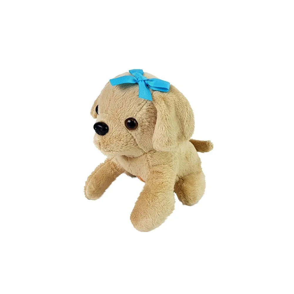 Zestaw Weterynarz z Pieskiem i Transporterem