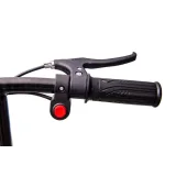 Auto Na Akumulator BMW M5 Z Platformą Dla Rodzica Czarne Lakierowane