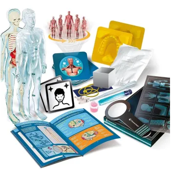 Naukowa Zabawa Super Anatomia Język Polski Clementoni 50919