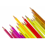 Zestaw Małego Artysty 300szt. Kredek W Organizerze