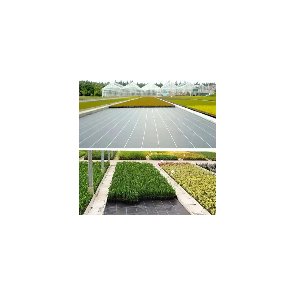 Wytrzymała agrotkanina antychwastowa 100 cm x 50 m na chwasty