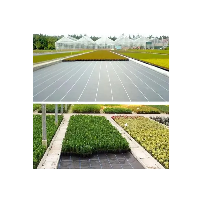 Wytrzymała agrotkanina antychwastowa 100 cm x 50 m na chwasty