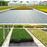 Wytrzymała agrotkanina antychwastowa 100 cm x 50 m na chwasty