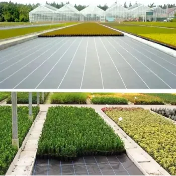 Agrotkanina Czarna 160 cm x 50 m UV 90g Antychwastowa Agrowłóknina + Kotwy