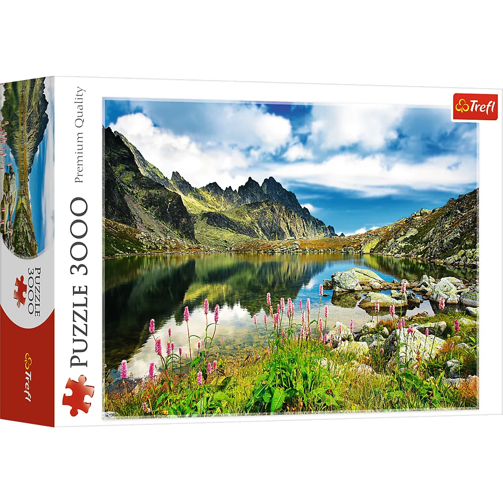 Puzzle krajobrazowe 3000 elementów z widokiem Staroleśniańskiego Stawu