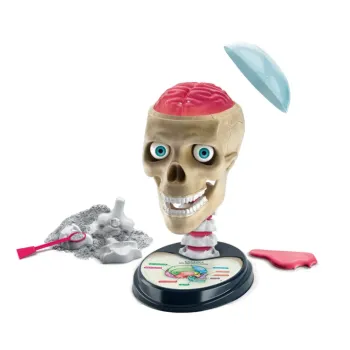 Naukowa Zabawa Zestaw Zwariowana Anatomia Język Polski Clementoni 50697