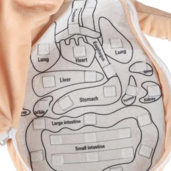 Miękka lalka z kolorowym fartuchiem, rozwijająca wyobraźnię i wiedzę