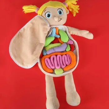 Pomoc dydaktyczna i terapeutyczna – lalka anatomiczna dla najmłodszych