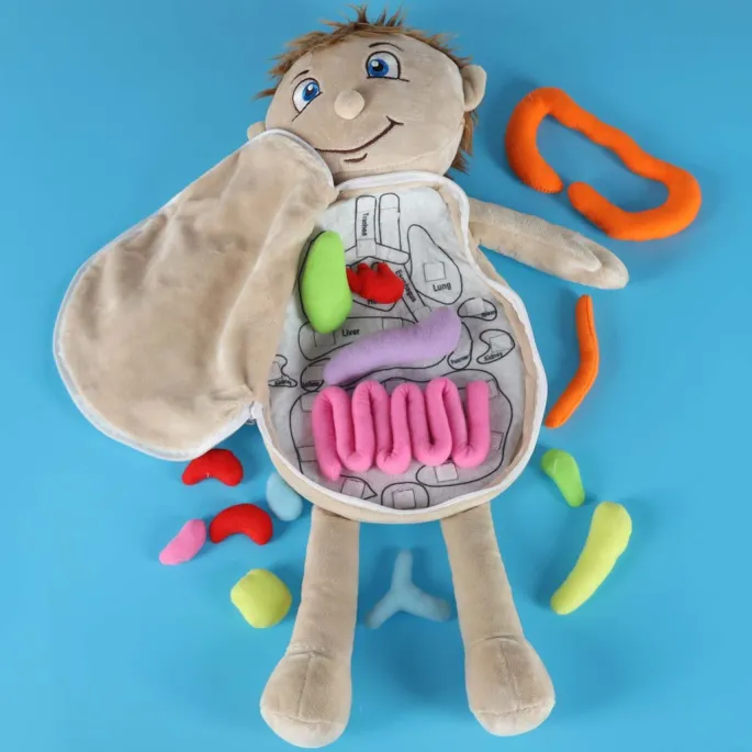 Wielokolorowa lalka edukacyjna do rozwijania pasji naukowych