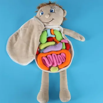 Edukacyjna lalka anatomiczna wspierająca rozwój i kreatywność dziecka