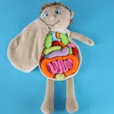 Edukacyjna lalka anatomiczna wspierająca rozwój i kreatywność dziecka