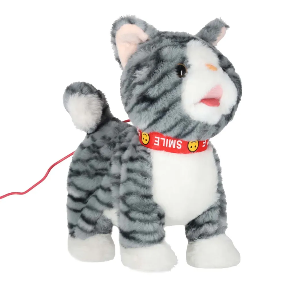 Kotek z różową smyczą i pomarańczowymi akcentami, gotowy do zabawy