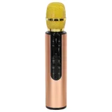 Mikrofon karaoke Bluetooth z głośnikiem 2 x 5W dla najmłodszych