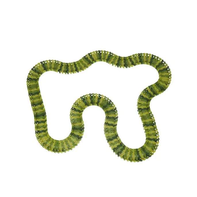 Kompletny zestaw toru wyścigowego z autami i figurkami dinozaurów