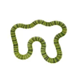 Kompletny zestaw toru wyścigowego z autami i figurkami dinozaurów