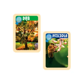 Forma gipsowa i narzędzie do oglądania owadów w komplecie