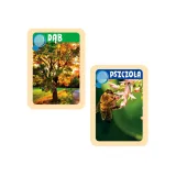 Forma gipsowa i narzędzie do oglądania owadów w komplecie