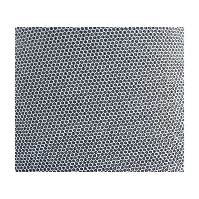 Delikatna siateczka moskitiery na tle spacerówki